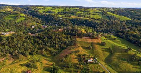 Bunker Hill Rd, Amador, CA 95601 Photo