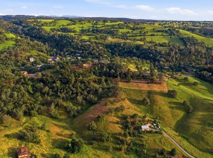 Bunker Hill Rd, Amador, CA 95601 Photo