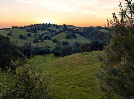 Bunker Hill Rd, Amador, CA 95601 Photo