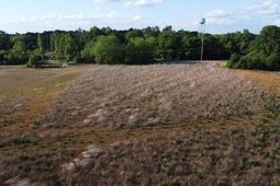 Tbd Rosemary Road  photo 4
