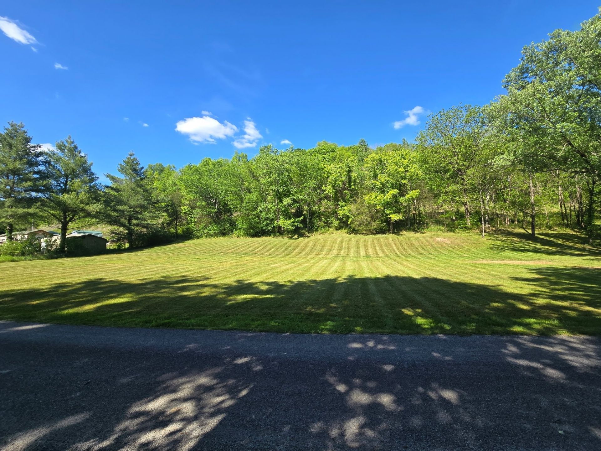 0 Dog Branch Road S, Pleasant Shade, TN 37145 Main Photo
