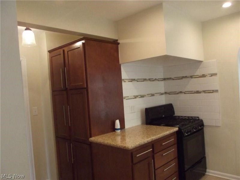 3878 Silsby Road, University Heights, OH 44118 Photo 4