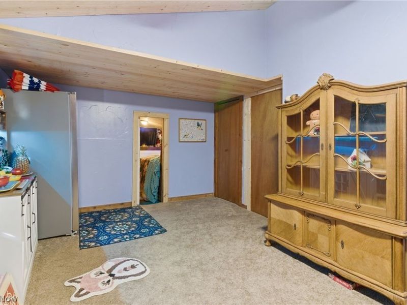 161 Forest Avenue, Lake Milton, OH 44429 Photo 32