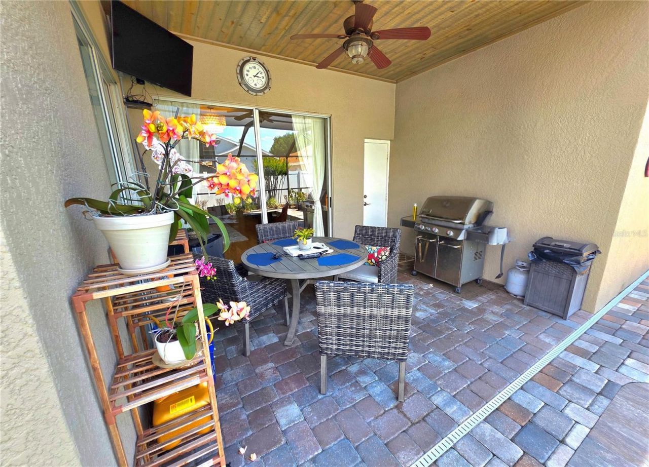 2608 Vinedale Avenue, Valrico, FL 33596 Photo