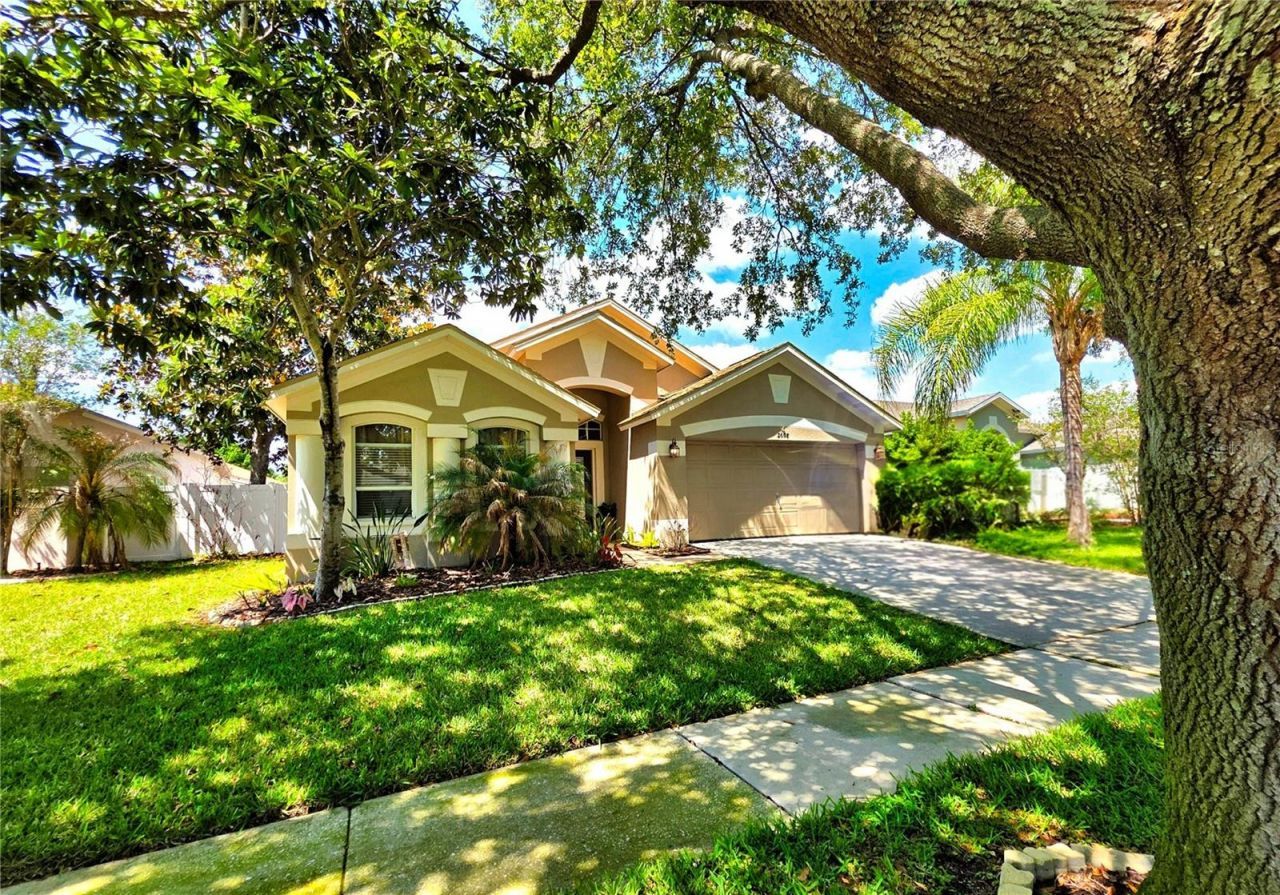 2608 Vinedale Avenue, Valrico, FL 33596 Photo