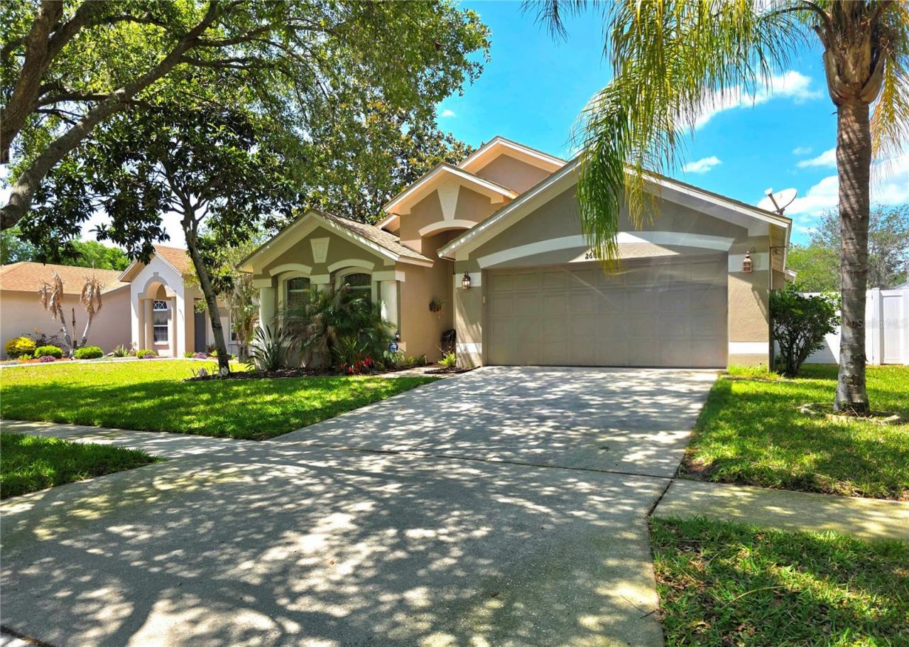 2608 Vinedale Avenue, Valrico, FL 33596 Photo