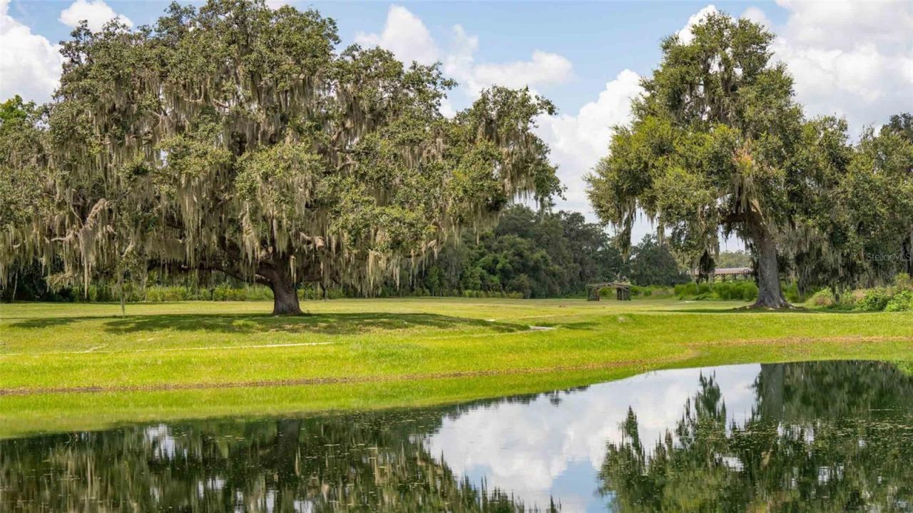 3520 Maple Grove Way, Plant City, FL 33565 Photo