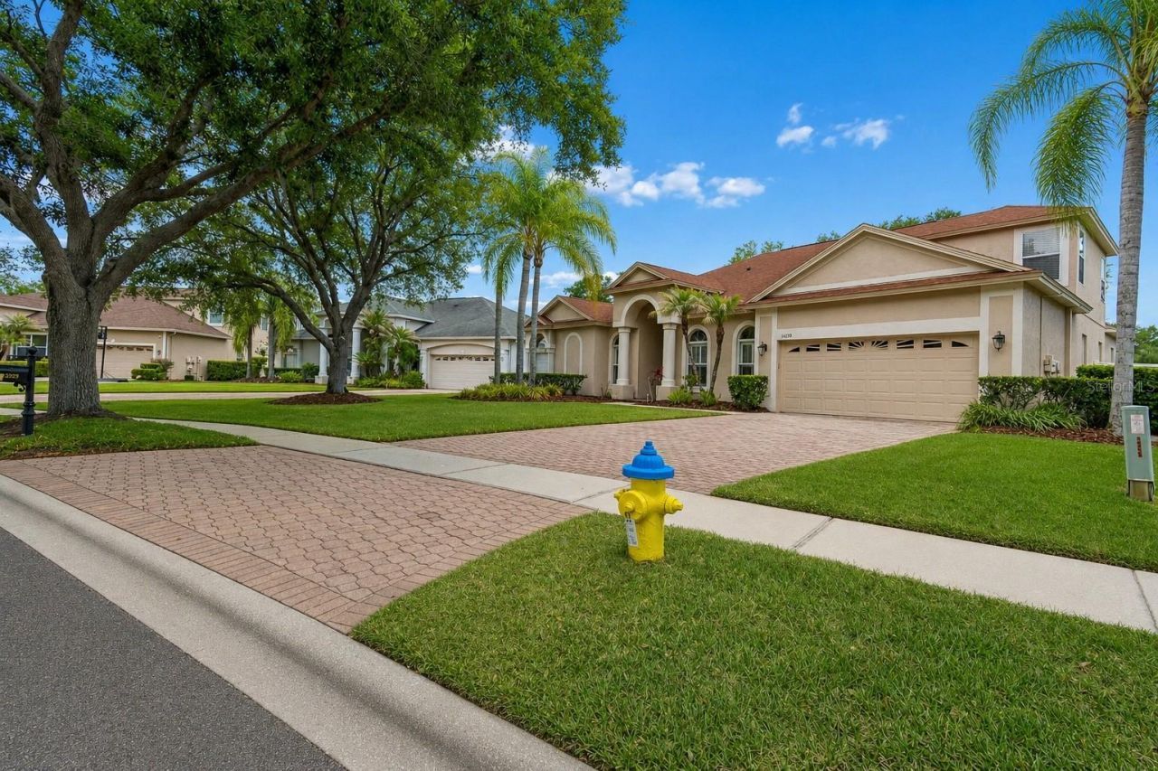 16329 Ashington Park Drive, Tampa, FL 33647 Photo