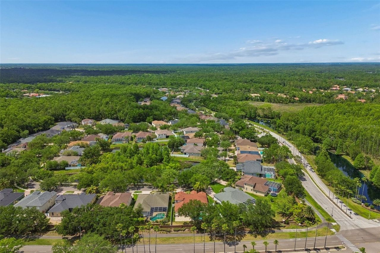 16329 Ashington Park Drive, Tampa, FL 33647 Photo