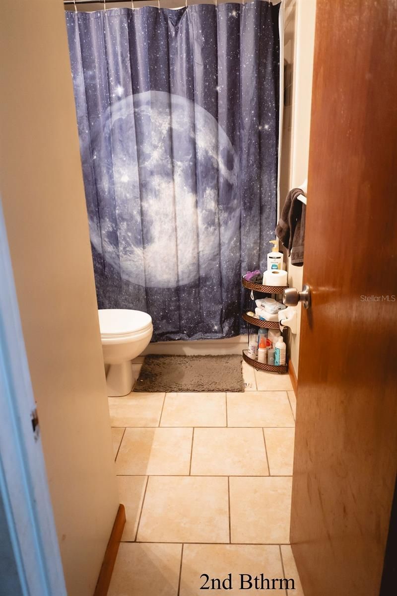 8204 Trammell Trail, Tampa, FL 33619 Photo