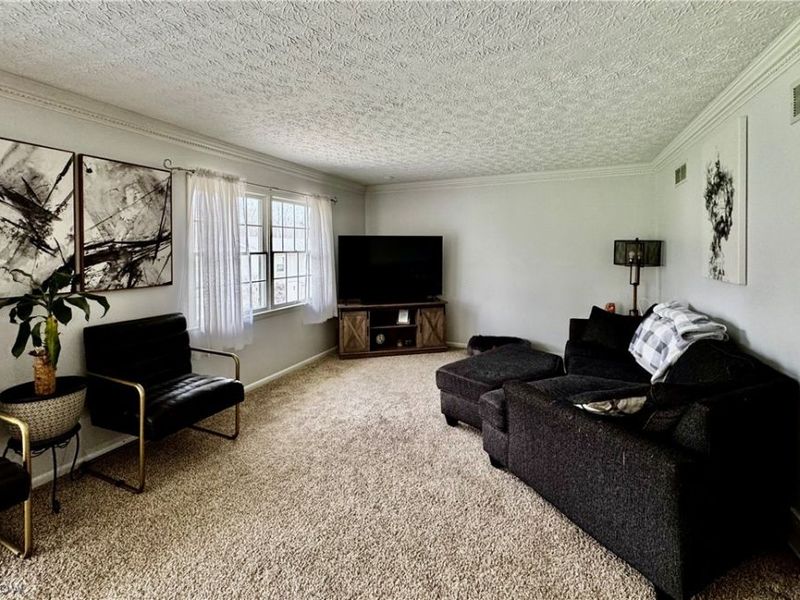 3160 Dewalt Drive, Akron, OH 44312 Photo 29