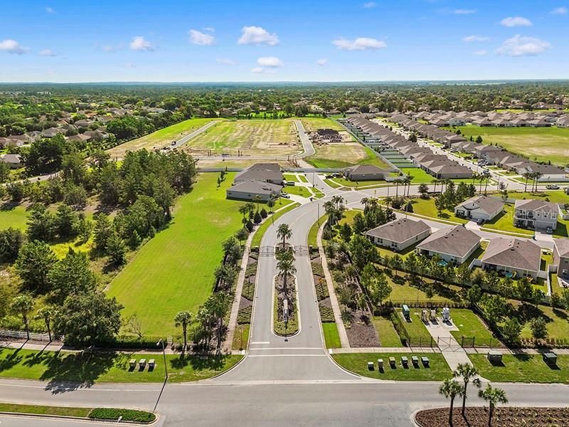 13196 Golden Lime Avenue, Spring Hill, FL 34609 Photo