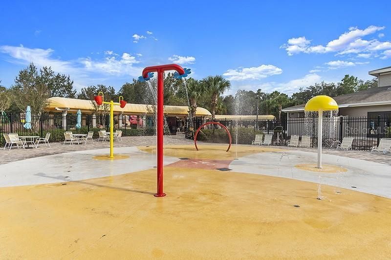 13196 Golden Lime Avenue, Spring Hill, FL 34609 Photo