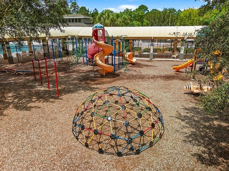 13196 Golden Lime Avenue, Spring Hill, FL 34609 Photo