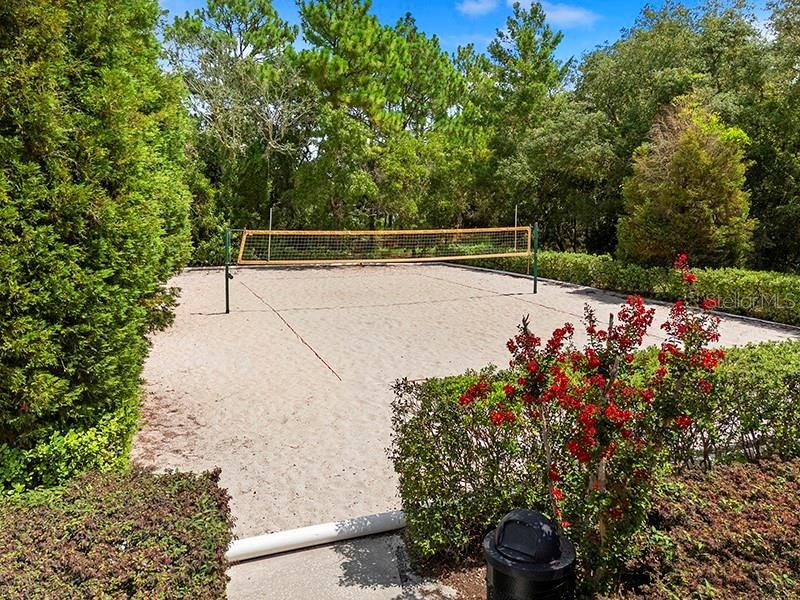 13196 Golden Lime Avenue, Spring Hill, FL 34609 Photo