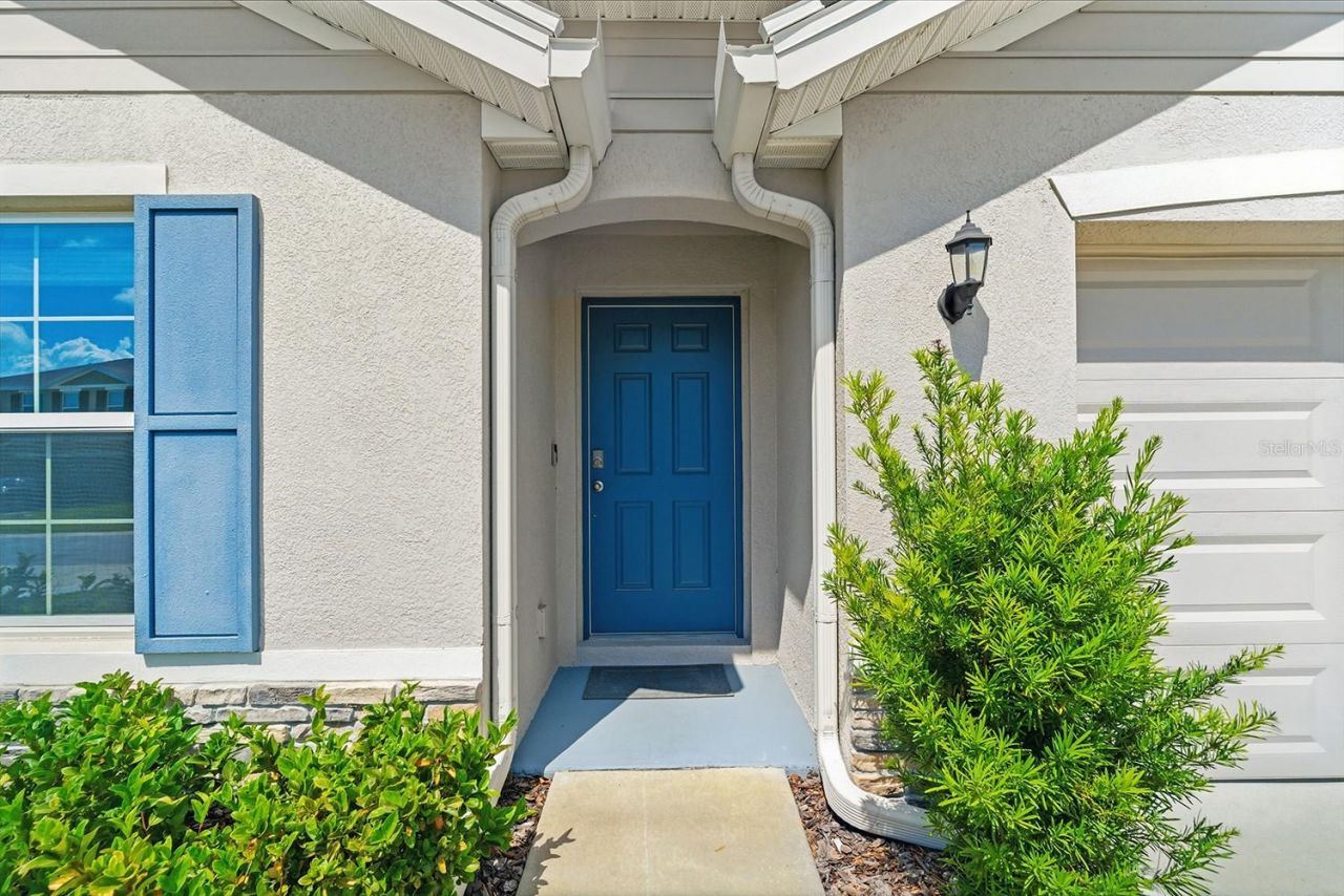 13196 Golden Lime Avenue, Spring Hill, FL 34609 Photo