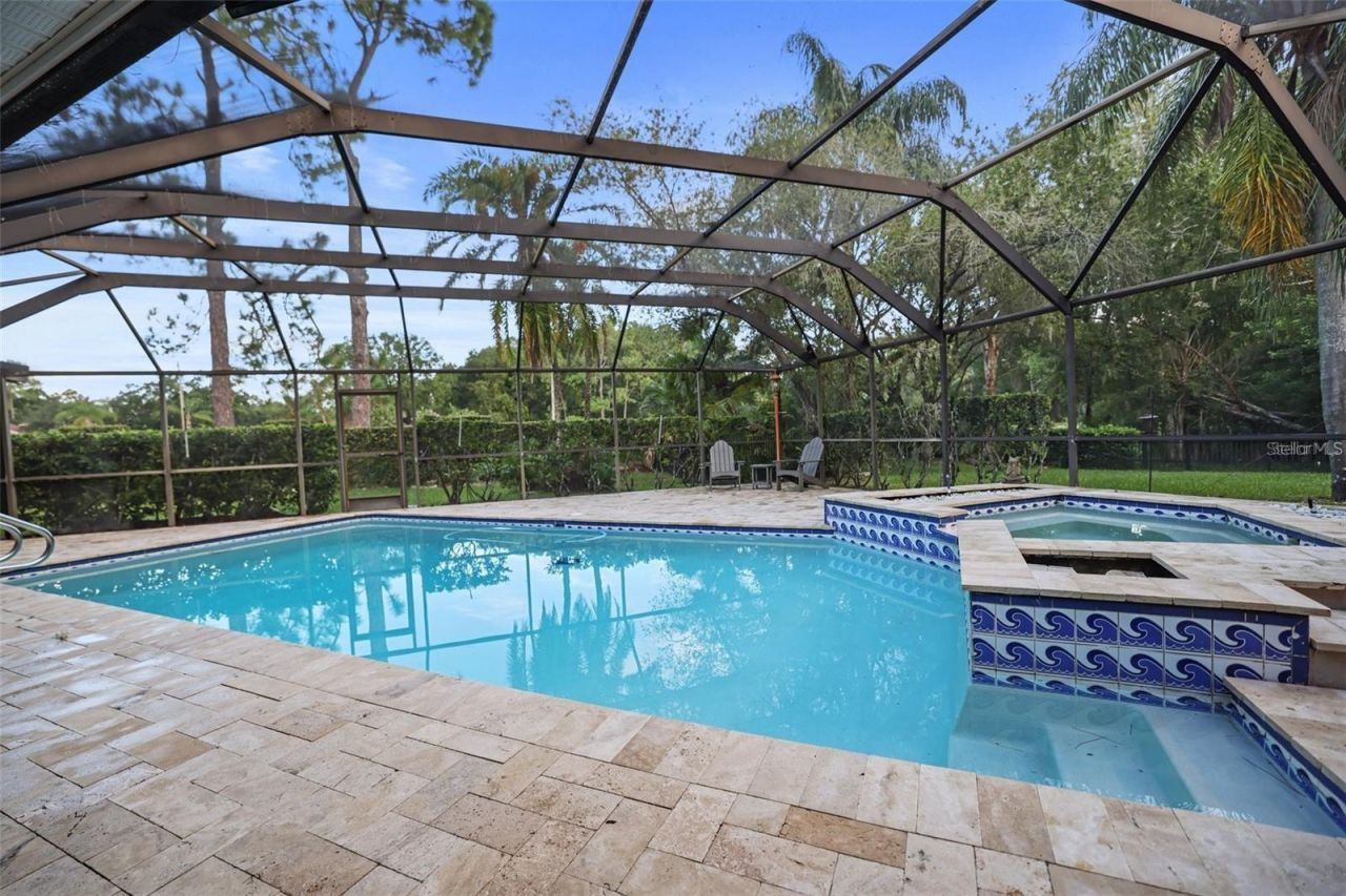 3297 Valemoor Drive, Palm Harbor, FL 34685 Photo