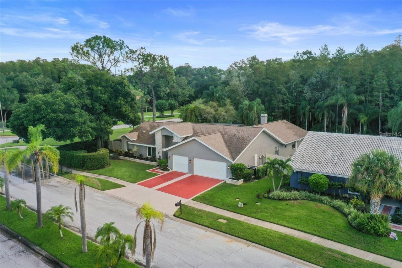 3297 Valemoor Drive, Palm Harbor, FL 34685 Photo