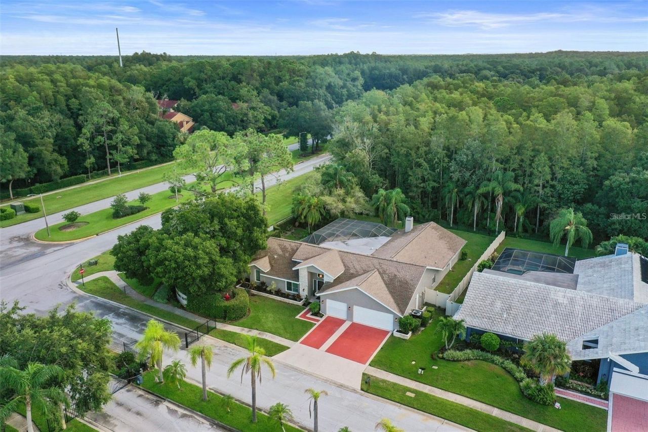 3297 Valemoor Drive, Palm Harbor, FL 34685 Photo