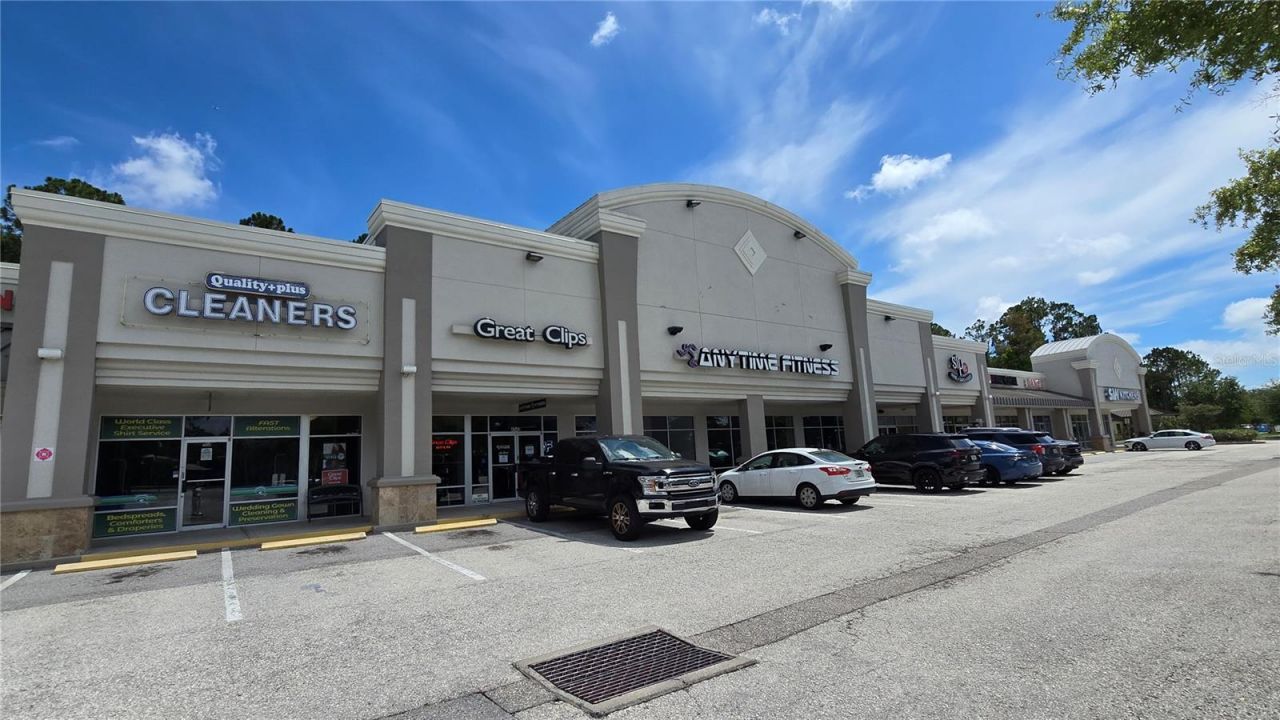 3297 Valemoor Drive, Palm Harbor, FL 34685 Photo