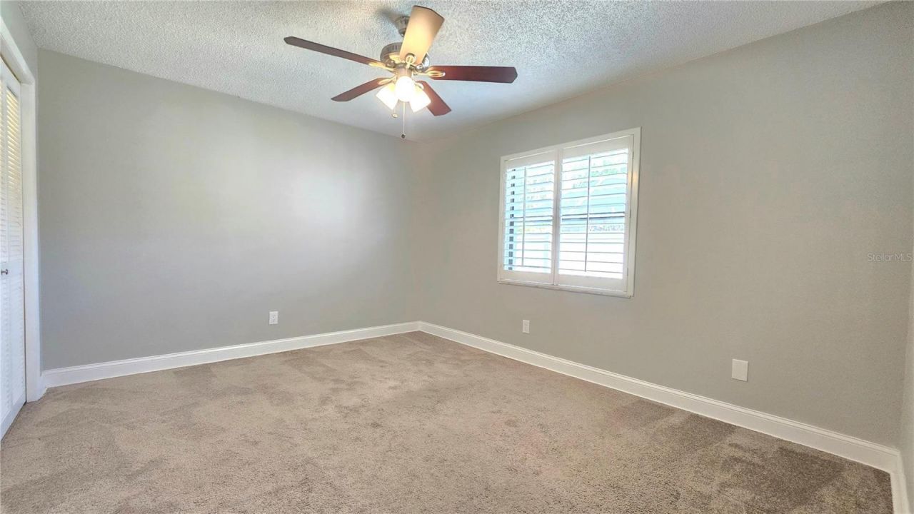 3297 Valemoor Drive, Palm Harbor, FL 34685 Photo