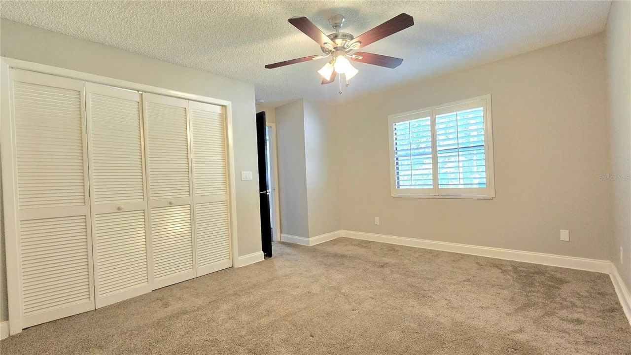 3297 Valemoor Drive, Palm Harbor, FL 34685 Photo