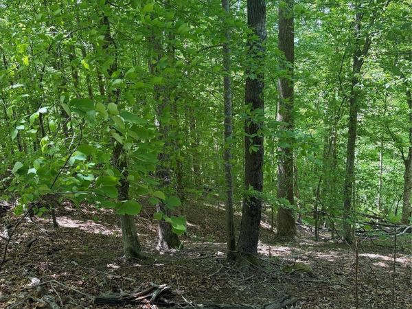 0 Creekside Circle , Rutherfordton, NC 28139