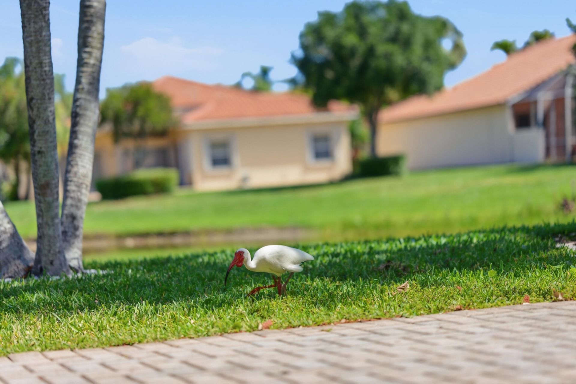 6703 Catania Drive, Boynton Beach, FL 33472 Photo