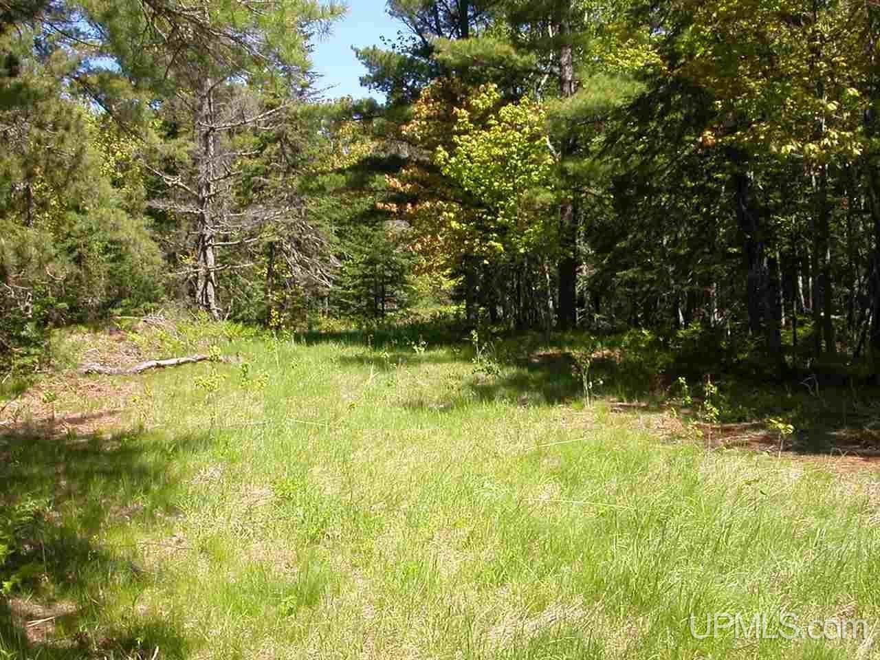 Lot 29 N Eliza Creek Lane, Eagle Harbor Twp, MI 49950 Main Photo
