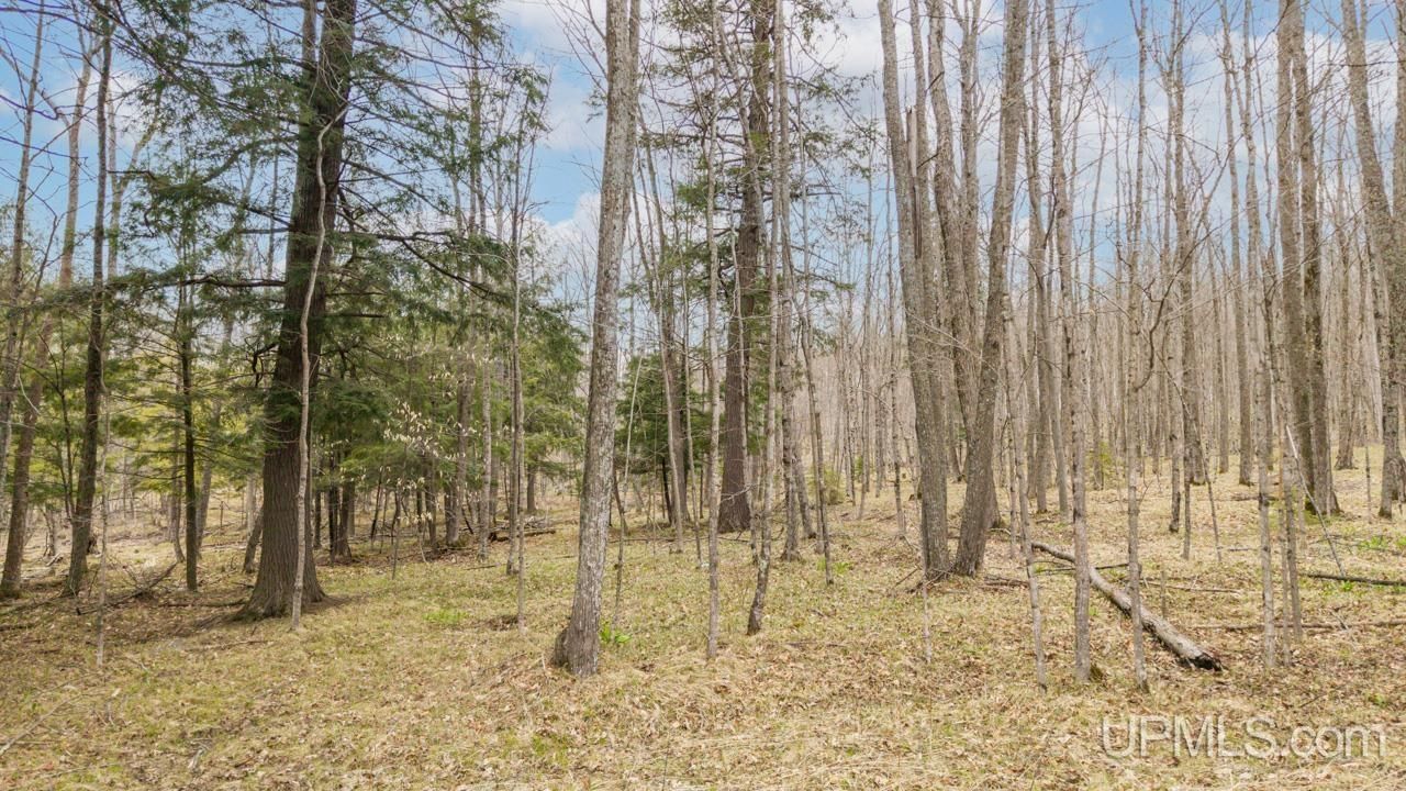 Tbd Hupp Road, Waucedah Twp, MI 49892 Main Photo