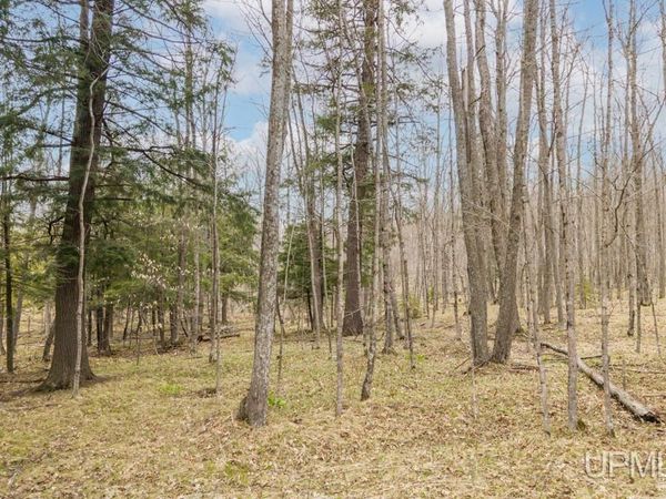 TBD Hupp Road, Waucedah Twp, MI 49892