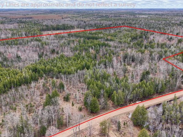 TBD Co Rd SAE Roads, Wells Twp, MI 49818