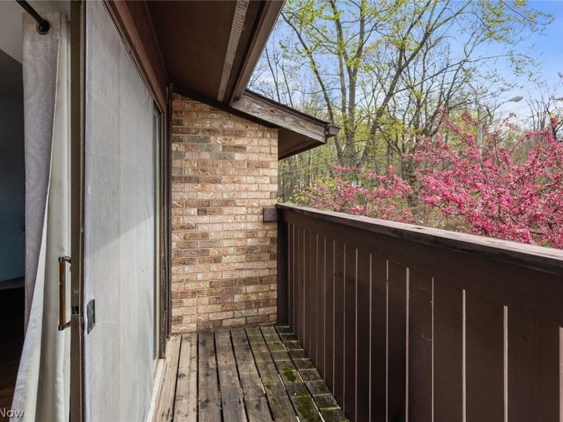 3265 Mayfield Road, Unit 31, Cleveland Heights, OH 44118 Photo 15