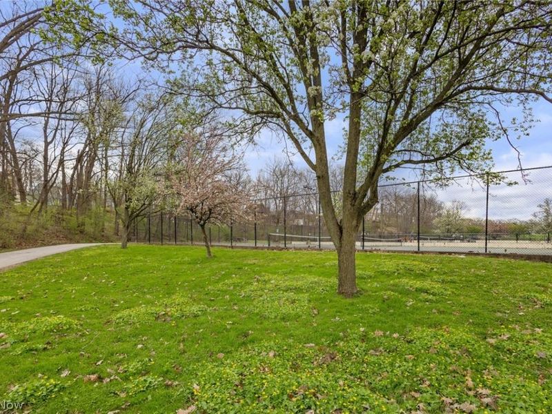 3265 Mayfield Road, Unit 31, Cleveland Heights, OH 44118 Photo 19