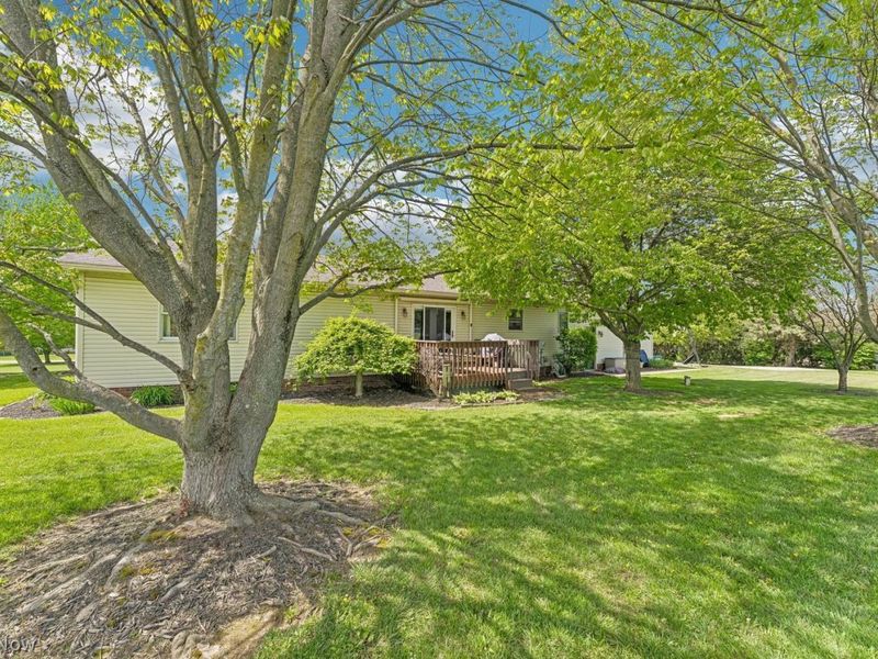6151 Apple Creek Road, Smithville, OH 44677 Photo 46