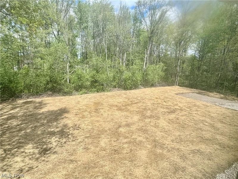 40878 Myrtle Court, Elyria, OH 44035 Photo 5