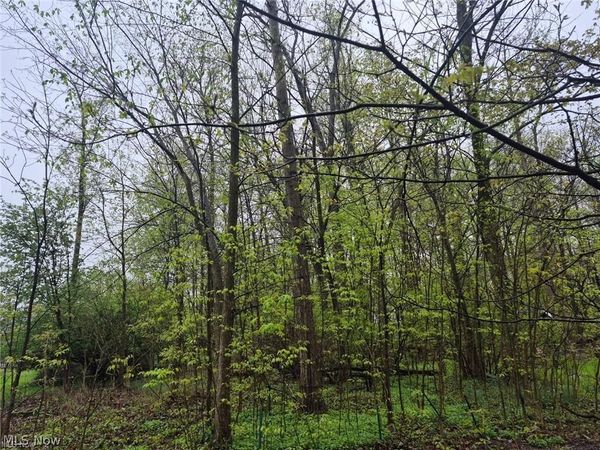 VL Smith Street , Oberlin, OH 44074