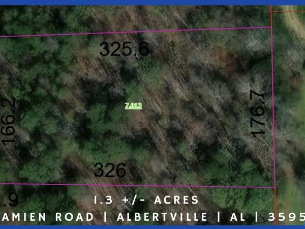 1.3 +/- Acre Damien Road, Albertville, AL 35951