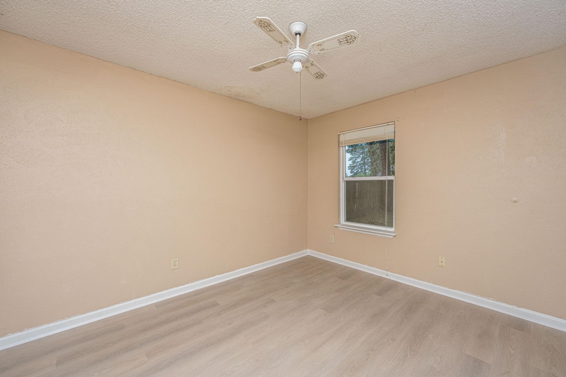 1246 Maryland Drive Photo 16