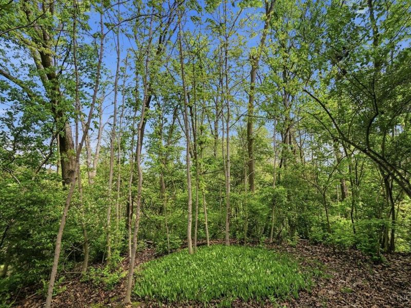 212 Kings Mills Road, Mason, OH 45040 Photo 39