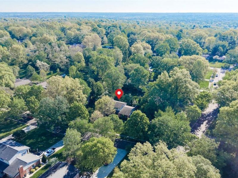 328 Circlewood Lane, Wyoming, OH 45215 Photo 45