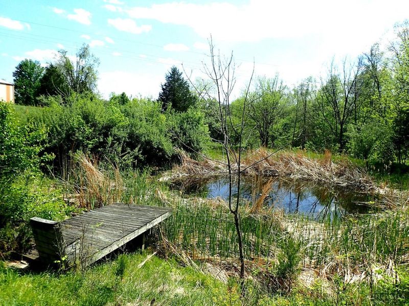 8151 State Road 48, Aurora, IN 47001 Photo 32