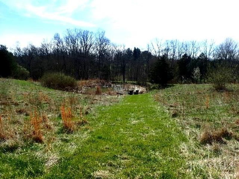 8151 State Road 48, Aurora, IN 47001 Photo 39