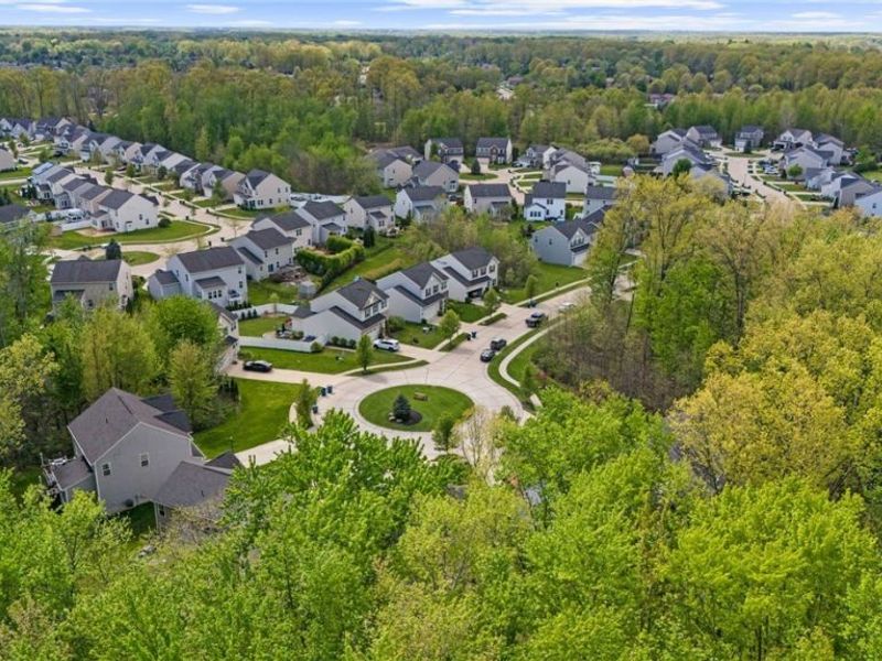 31832 Rustic Ridge, North Ridgeville, OH 44039 Photo 36