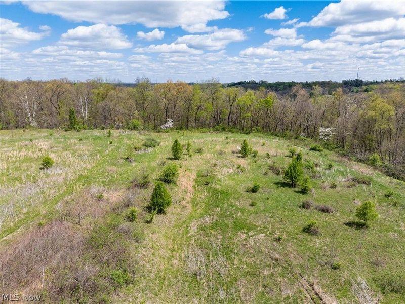 Timber Run Road, Zanesville, OH 43701 Photo 10