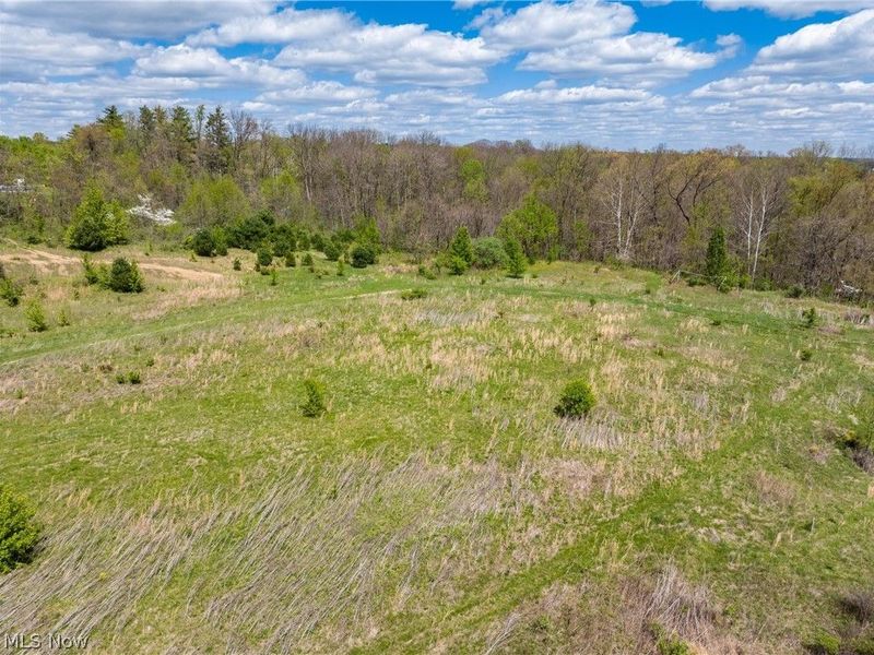 Timber Run Road, Zanesville, OH 43701 Photo 11