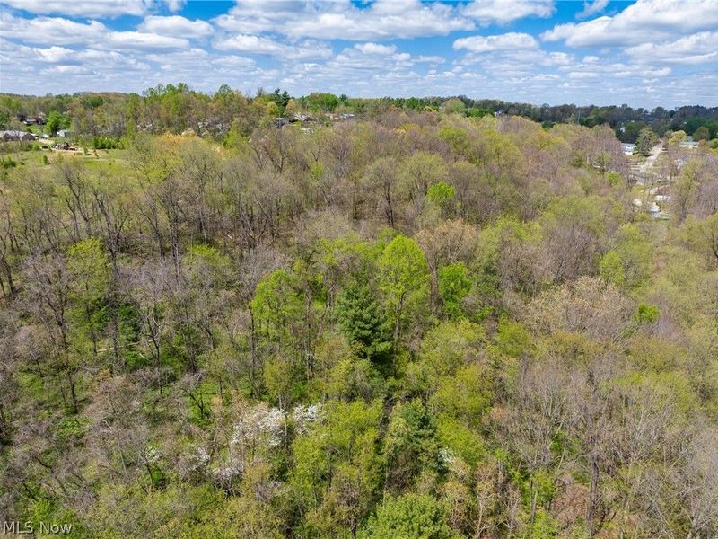 Timber Run Road, Zanesville, OH 43701 Photo 14