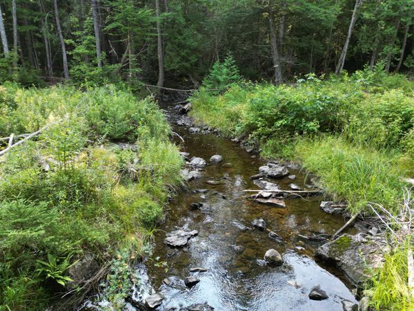 Lot 33-4 West Road, Springfield, ME 04487