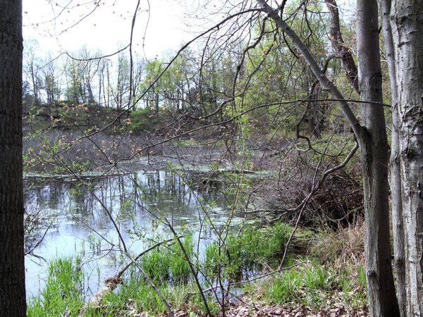 V/L Frost Road, Portland, MI 48875
