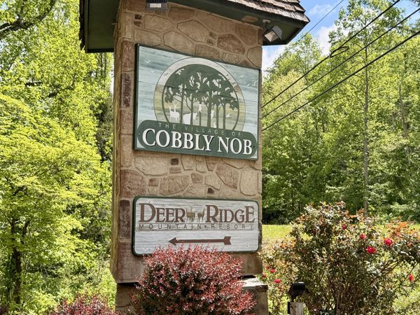 0 Black Gum Gap Road, Gatlinburg, TN 37738